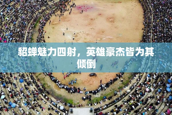 貂蝉魅力四射，英雄豪杰皆为其倾倒