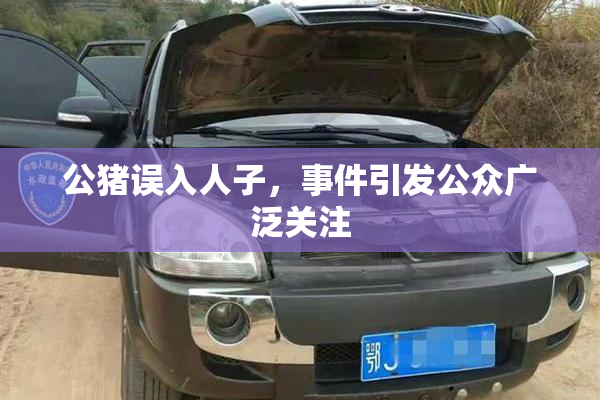 公猪误入人子，事件引发公众广泛关注