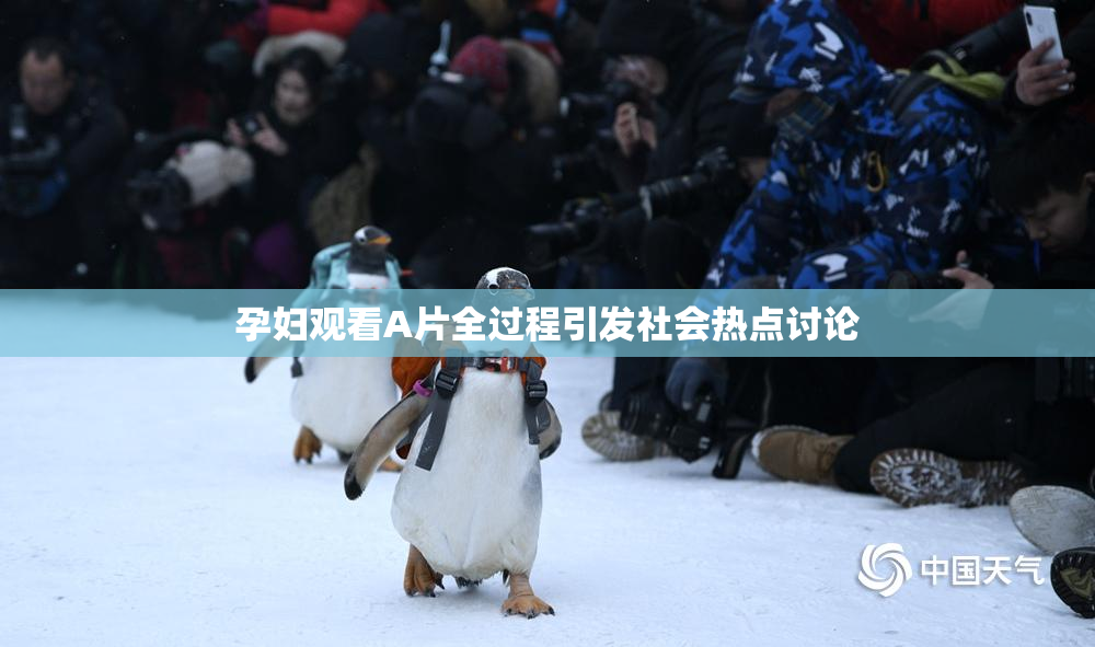 孕妇观看A片全过程引发社会热点讨论