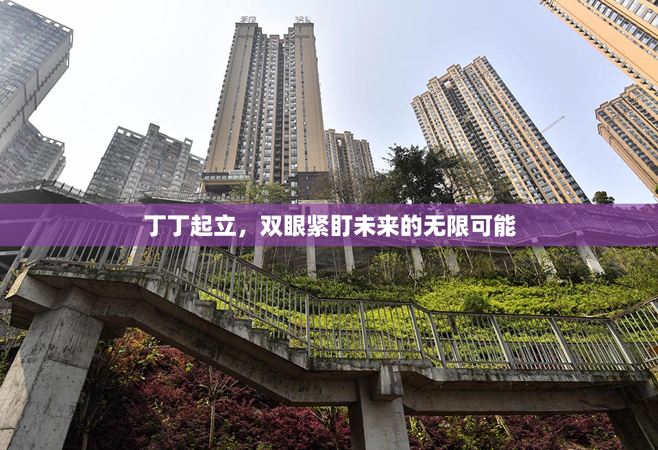 丁丁起立，双眼紧盯未来的无限可能