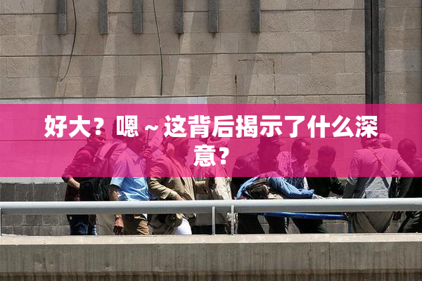 好大？嗯～这背后揭示了什么深意？