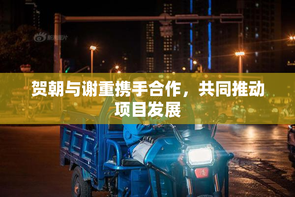 贺朝与谢重携手合作，共同推动项目发展