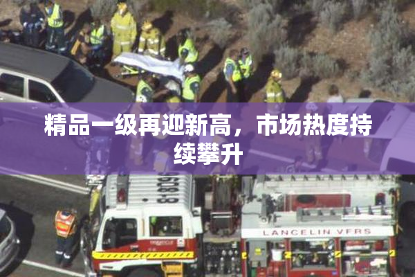 精品一级再迎新高，市场热度持续攀升