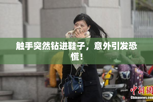 触手突然钻进鞋子，意外引发恐慌！