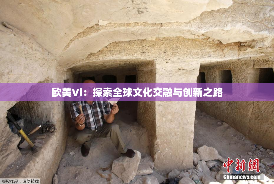 欧美Vi：探索全球文化交融与创新之路