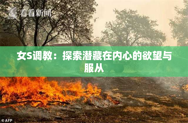 女S调教：探索潜藏在内心的欲望与服从