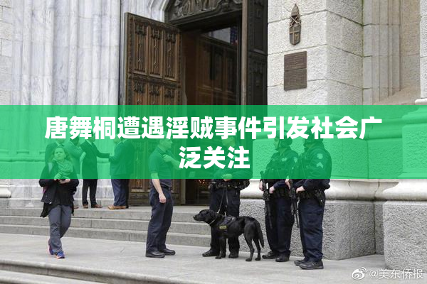 唐舞桐遭遇淫贼事件引发社会广泛关注