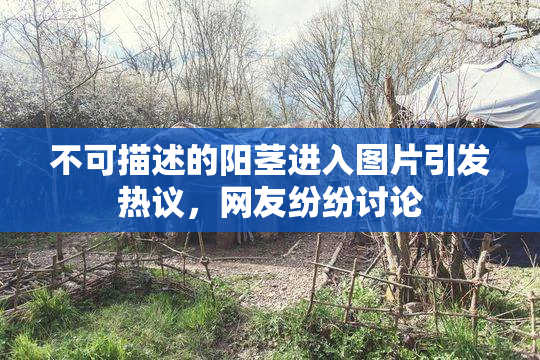 不可描述的阳茎进入图片引发热议，网友纷纷讨论