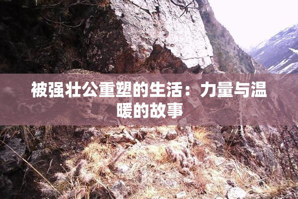 被强壮公重塑的生活：力量与温暖的故事