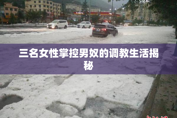 三名女性掌控男奴的调教生活揭秘