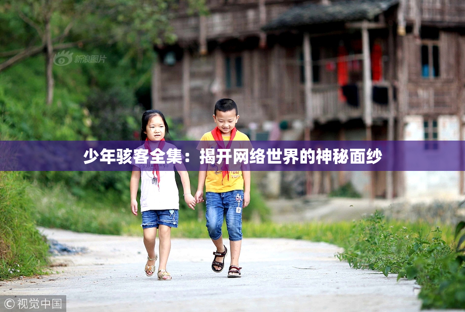 少年骇客全集：揭开网络世界的神秘面纱