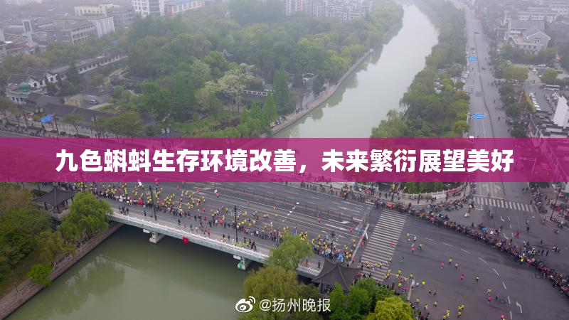 九色蝌蚪生存环境改善，未来繁衍展望美好