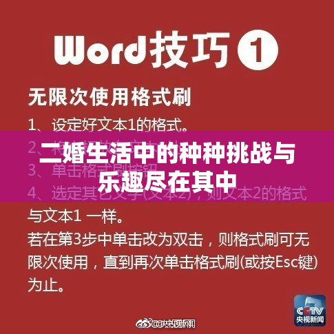 二婚生活中的种种挑战与乐趣尽在其中