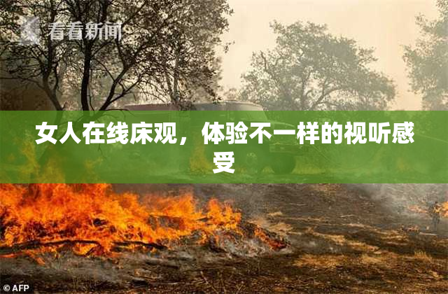 女人在线床观，体验不一样的视听感受