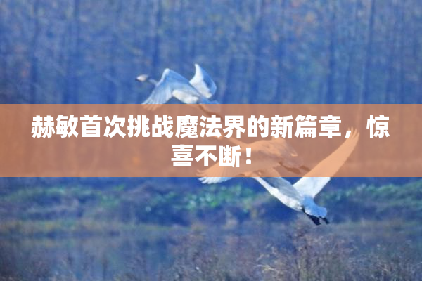 赫敏首次挑战魔法界的新篇章，惊喜不断！