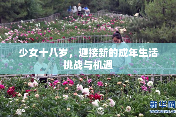 少女十八岁，迎接新的成年生活挑战与机遇