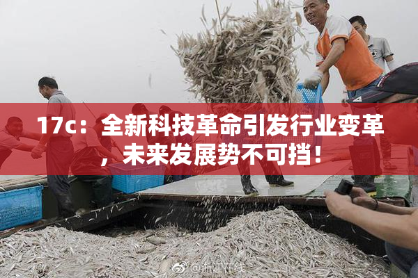 17c：全新科技革命引发行业变革，未来发展势不可挡！