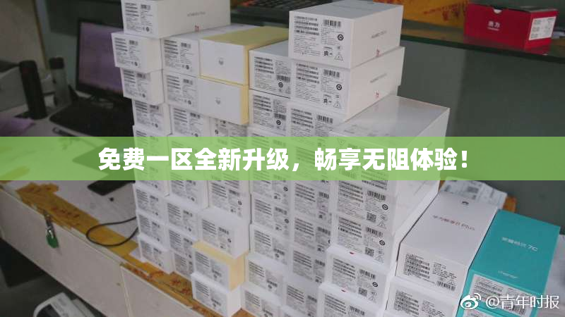 免费一区全新升级，畅享无阻体验！