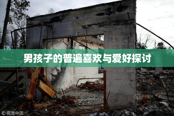 男孩子的普遍喜欢与爱好探讨