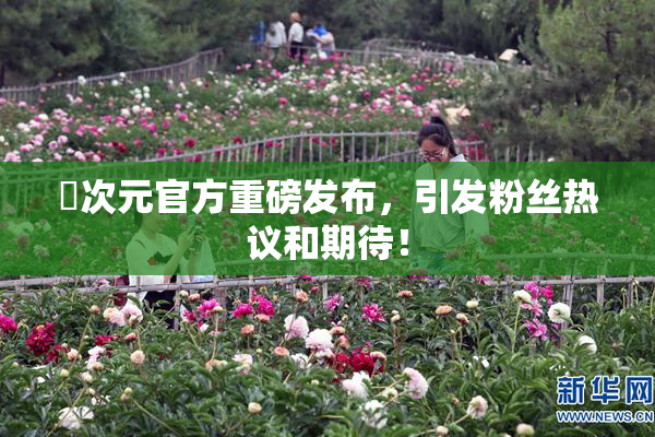 囧次元官方重磅发布，引发粉丝热议和期待！