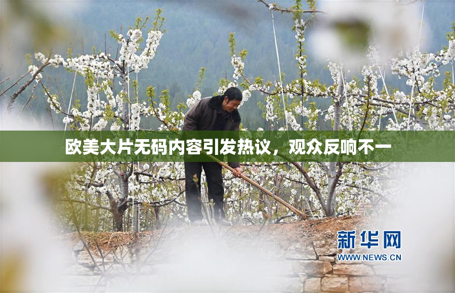 欧美大片无码内容引发热议，观众反响不一