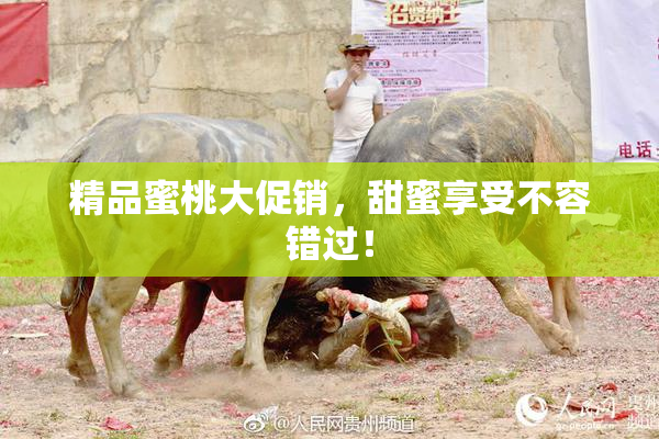 精品蜜桃大促销，甜蜜享受不容错过！