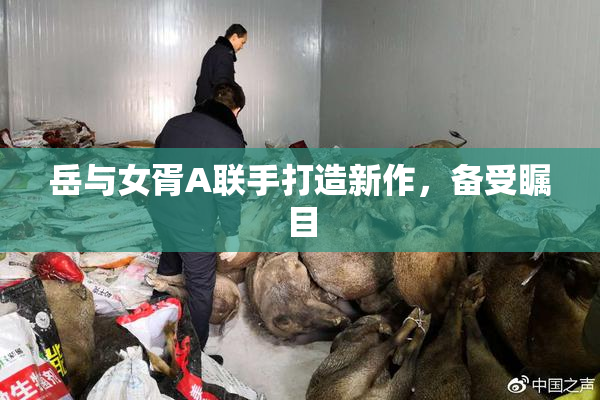 岳与女胥A联手打造新作，备受瞩目
