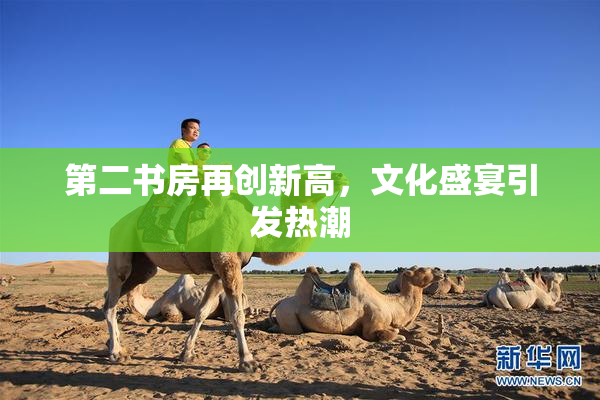 第二书房再创新高，文化盛宴引发热潮