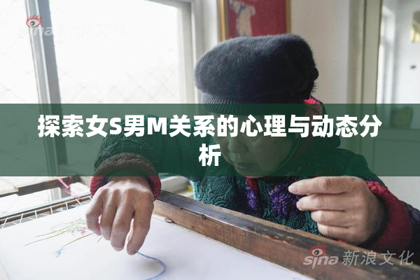 探索女S男M关系的心理与动态分析