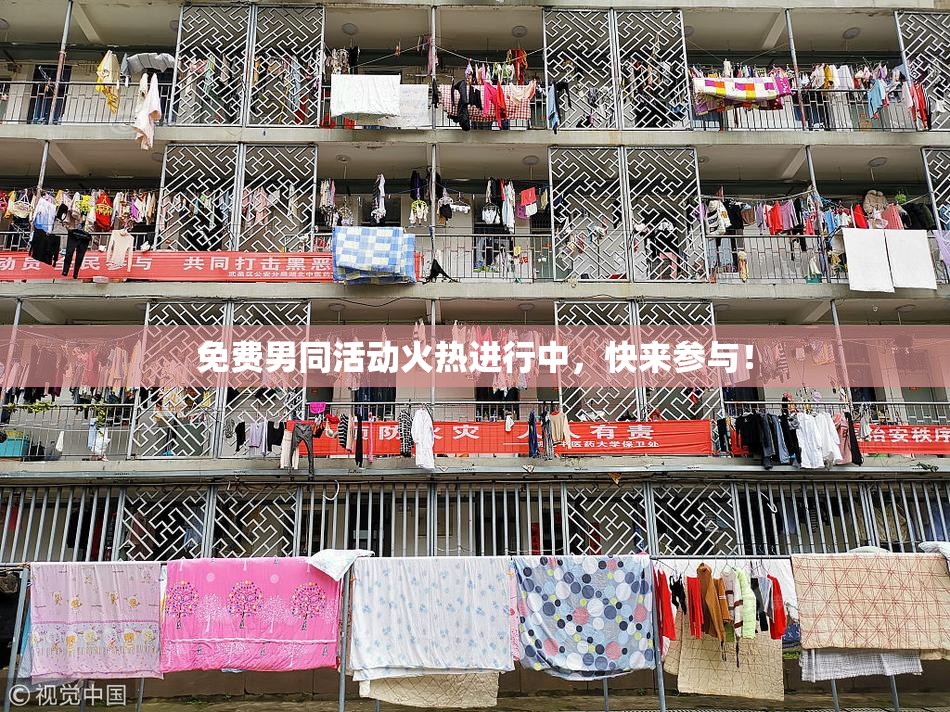免费男同活动火热进行中，快来参与！