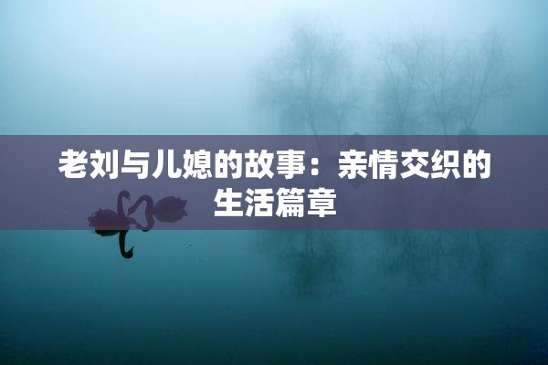 老刘与儿媳的故事：亲情交织的生活篇章
