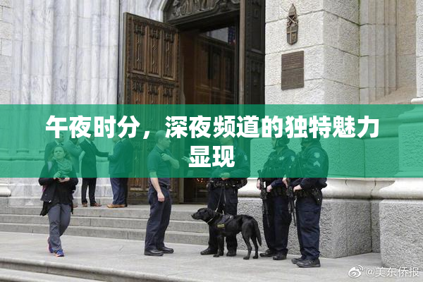 午夜时分，深夜频道的独特魅力显现