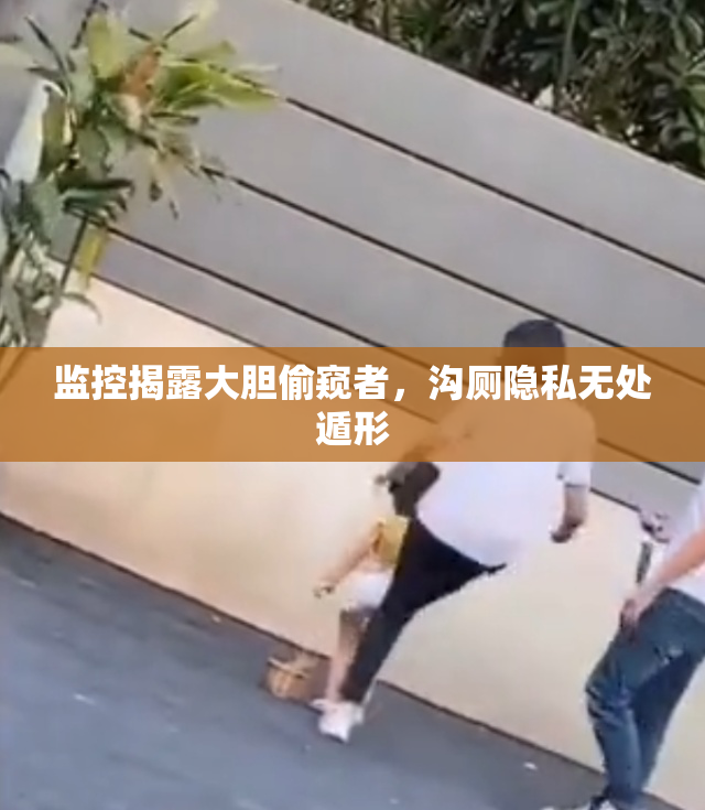 监控揭露大胆偷窥者，沟厕隐私无处遁形