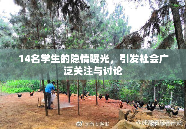 14名学生的隐情曝光，引发社会广泛关注与讨论
