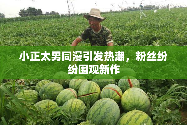 小正太男同漫引发热潮，粉丝纷纷围观新作