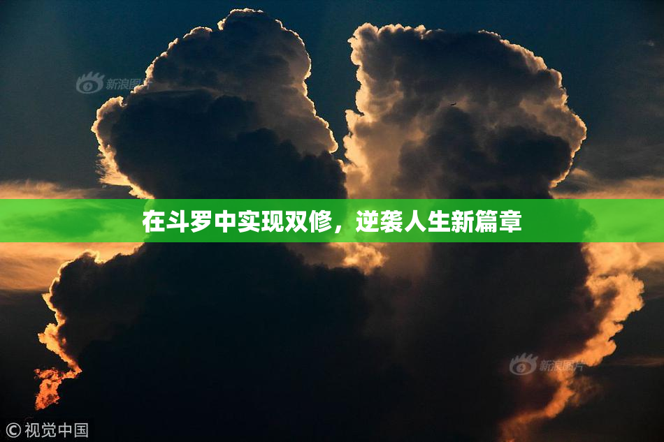 在斗罗中实现双修，逆袭人生新篇章