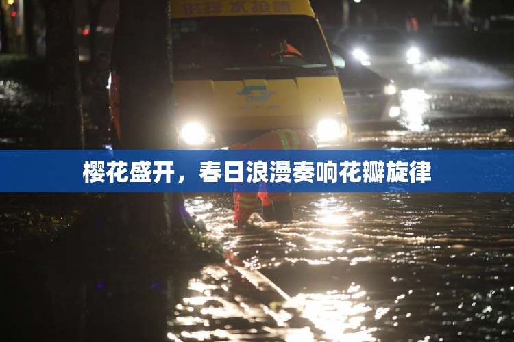 樱花盛开，春日浪漫奏响花瓣旋律