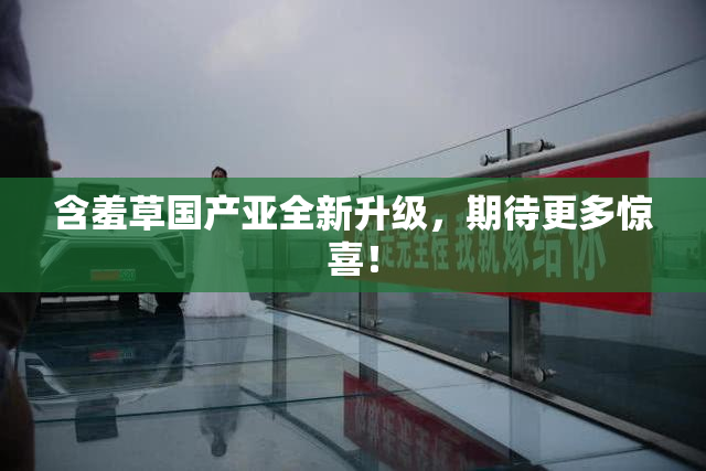 含羞草国产亚全新升级，期待更多惊喜！