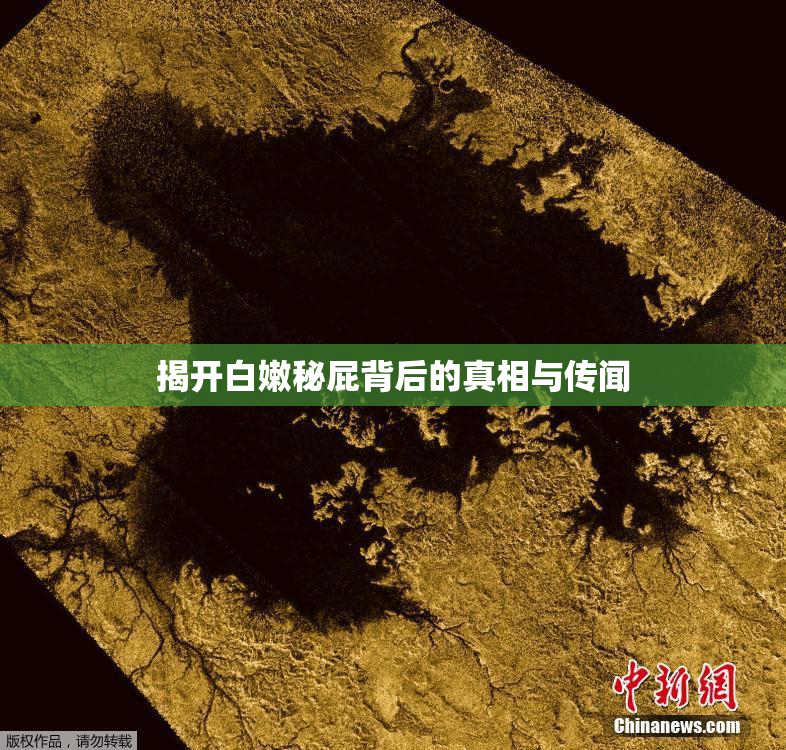 揭开白嫩秘屁背后的真相与传闻