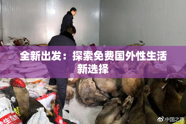 全新出发：探索免费国外性生活新选择