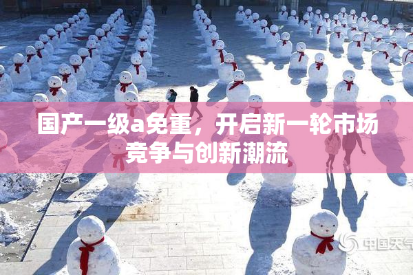 国产一级a免重，开启新一轮市场竞争与创新潮流