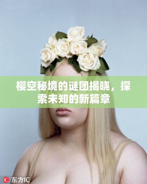 樱空秘境的谜团揭晓，探索未知的新篇章