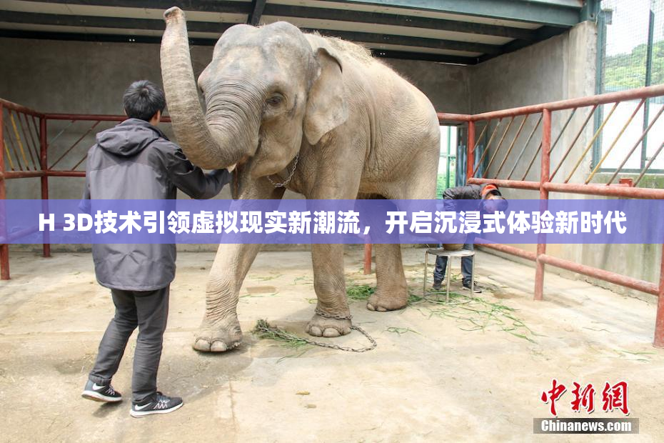 H 3D技术引领虚拟现实新潮流，开启沉浸式体验新时代