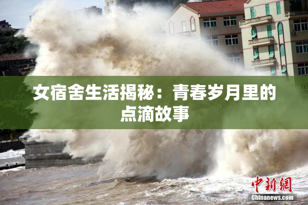 女宿舍生活揭秘：青春岁月里的点滴故事