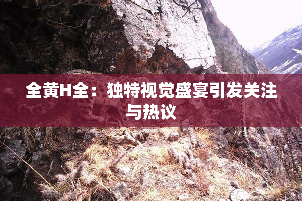 全黄H全：独特视觉盛宴引发关注与热议