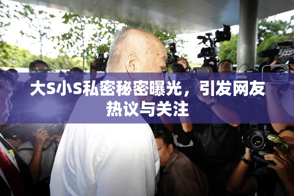 大S小S私密秘密曝光，引发网友热议与关注