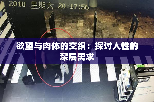 欲望与肉体的交织：探讨人性的深层需求