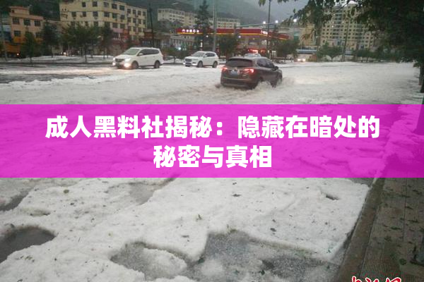 成人黑料社揭秘：隐藏在暗处的秘密与真相