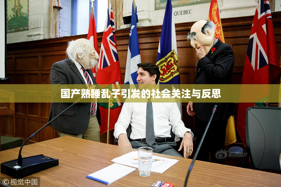 国产熟睡乱子引发的社会关注与反思