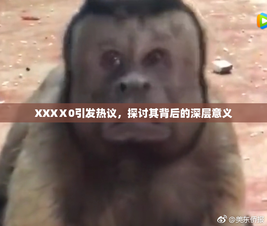 XXXⅩ0引发热议，探讨其背后的深层意义